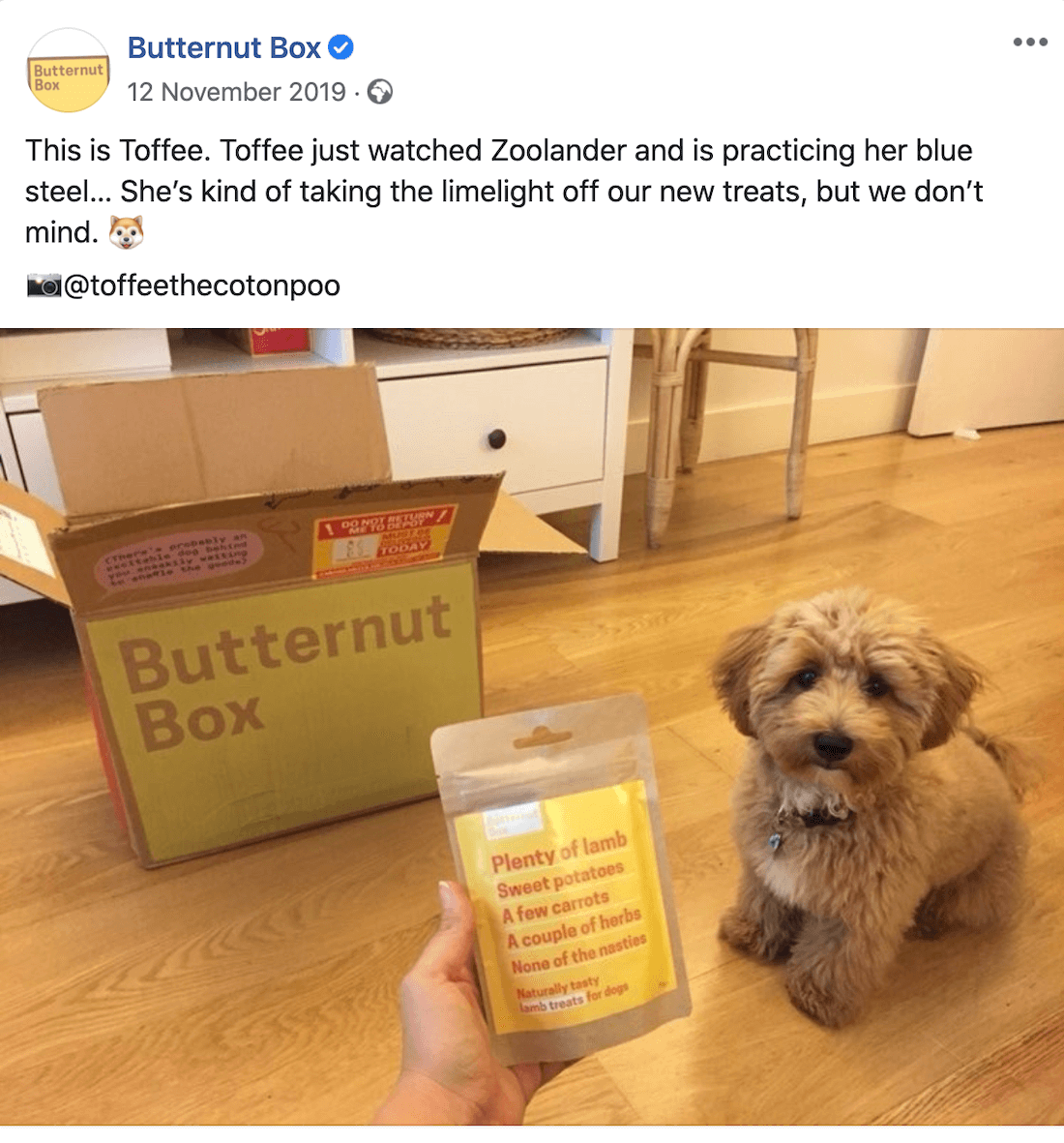 Butternut Box holiday advertising social media